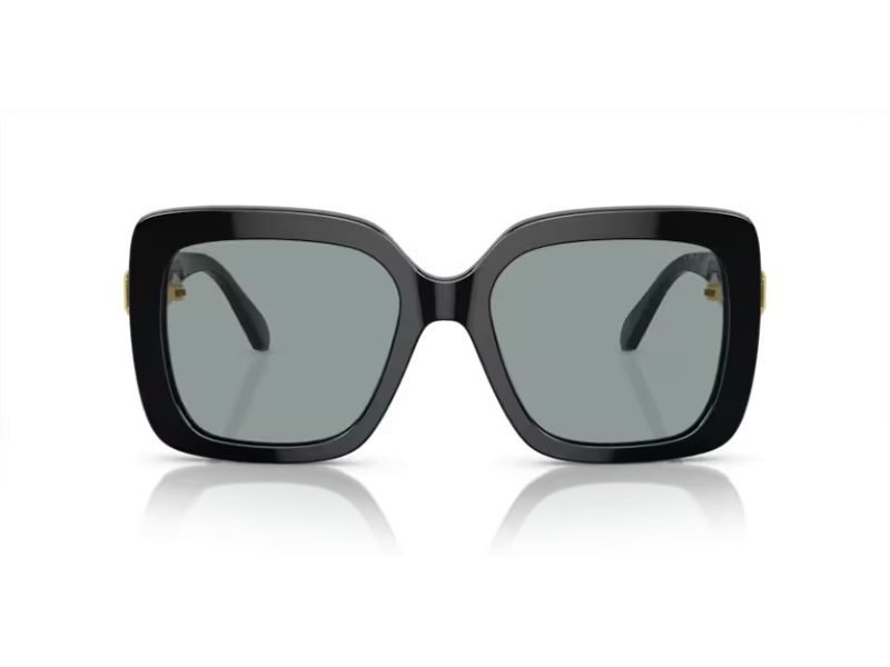 Swarovski SK 6001 1001/1 55 Women sunglasses