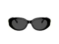 Swarovski SK 6002 100187 53 Women sunglasses