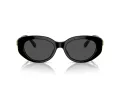 Swarovski SK 6002 100187 53 Women sunglasses