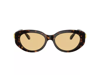 Swarovski SK 6002 1002/8 53 Women sunglasses