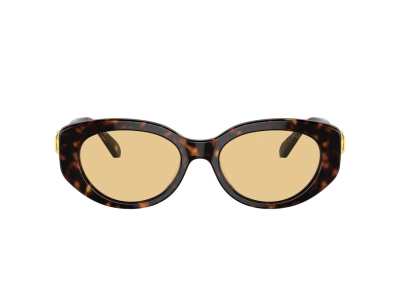 Swarovski SK 6002 1002/8 53 Women sunglasses
