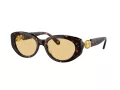 Swarovski SK 6002 1002/8 53 Women sunglasses