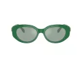 Swarovski SK 6002 10079C 53 Women sunglasses