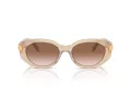 Swarovski SK 6002 103413 53 Women sunglasses