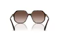 Swarovski SK 6003 100213 57 Women sunglasses