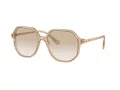Swarovski SK 6003 103411 57 Women sunglasses