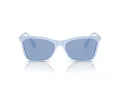 Swarovski SK 6004 10061U 55 Women sunglasses