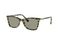 Swarovski SK 6004 1009/2 55 Women sunglasses