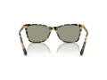 Swarovski SK 6004 1009/2 55 Women sunglasses