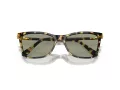 Swarovski SK 6004 1009/2 55 Women sunglasses
