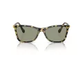 Swarovski SK 6004 1009/2 55 Women sunglasses