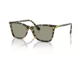 Swarovski SK 6004 1009/2 55 Women sunglasses