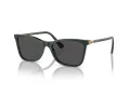 Swarovski SK 6004 102687 55 Women sunglasses