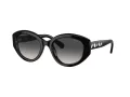 Swarovski SK 6005 10018G 53 Women sunglasses