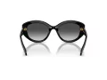 Swarovski SK 6005 10018G 53 Women sunglasses