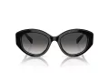 Swarovski SK 6005 10018G 53 Women sunglasses