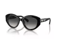 Swarovski SK 6005 10018G 53 Women sunglasses