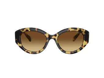 Swarovski SK 6005 100913 53 Women sunglasses