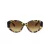 Swarovski SK 6005 100913 53 Women sunglasses