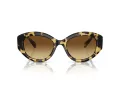 Swarovski SK 6005 100913 53 Women sunglasses