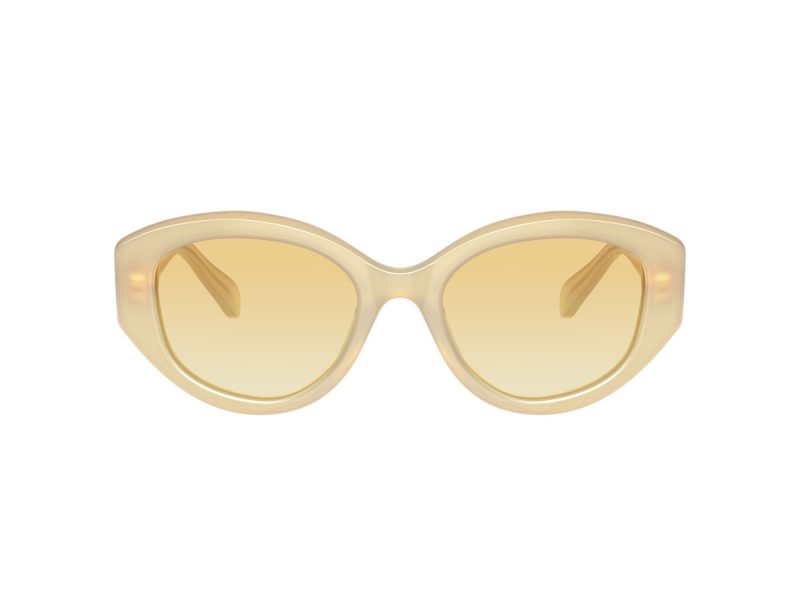 Swarovski SK 6005 10232Q 53 Women sunglasses