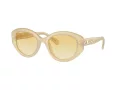 Swarovski SK 6005 10232Q 53 Women sunglasses