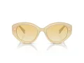 Swarovski SK 6005 10232Q 53 Women sunglasses