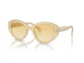 Swarovski SK 6005 10232Q 53 Women sunglasses