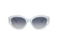 Swarovski SK 6005 10244L 53 Women sunglasses