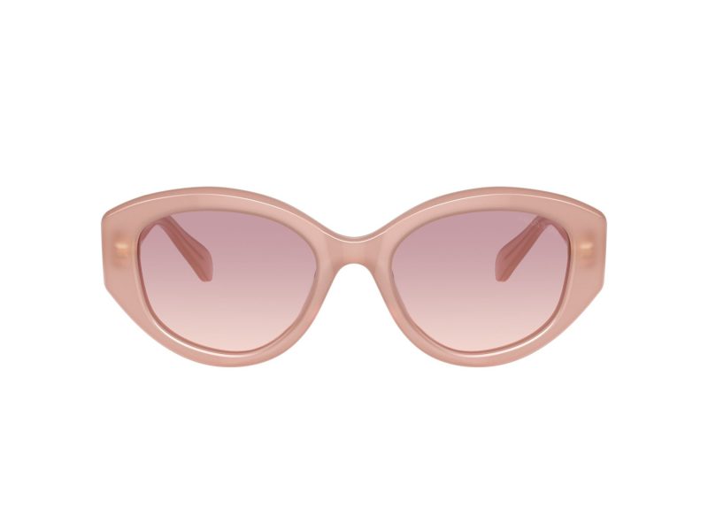 Swarovski SK 6005 102568 53 Women sunglasses