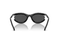 Swarovski SK 6006 100187 54 Women sunglasses