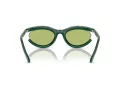 Swarovski SK 6006 103430 54 Women sunglasses