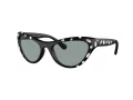 Swarovski SK 6007 1020/1 57 Women sunglasses