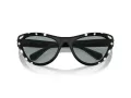 Swarovski SK 6007 1020/1 57 Women sunglasses
