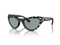 Swarovski SK 6007 1020/1 57 Women sunglasses