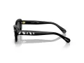 Swarovski SK 6008 100187 54 Women sunglasses