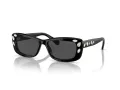 Swarovski SK 6008 100187 54 Women sunglasses