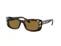 Swarovski SK 6008 100273 54 Women sunglasses