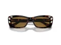 Swarovski SK 6008 100273 54 Women sunglasses