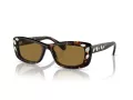 Swarovski SK 6008 100273 54 Women sunglasses