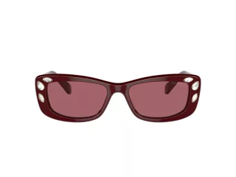 Swarovski 6008 100869 54 Women sunglasses
