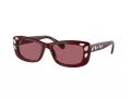 Swarovski 6008 100869 54 Women sunglasses