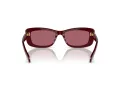 Swarovski 6008 100869 54 Women sunglasses