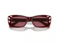 Swarovski 6008 100869 54 Women sunglasses