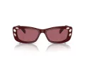 Swarovski 6008 100869 54 Women sunglasses