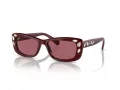 Swarovski 6008 100869 54 Women sunglasses