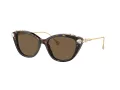 Swarovski SK 6010 100273 53 Women sunglasses