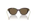 Swarovski SK 6010 100273 53 Women sunglasses