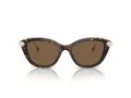 Swarovski SK 6010 100273 53 Women sunglasses