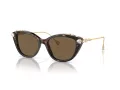 Swarovski SK 6010 100273 53 Women sunglasses